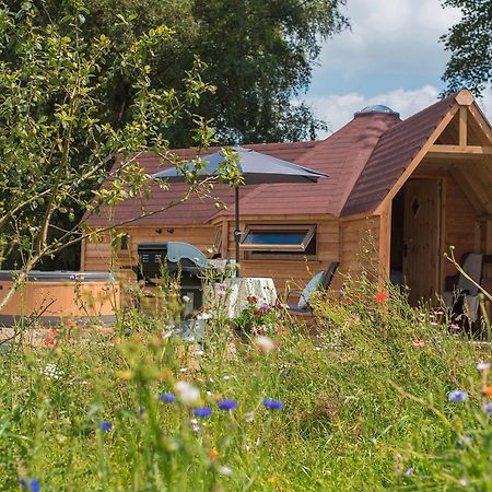 Dol Y Mynydd The Mountain Meadow-Qu7521 Villa Llangerniew Екстериор снимка